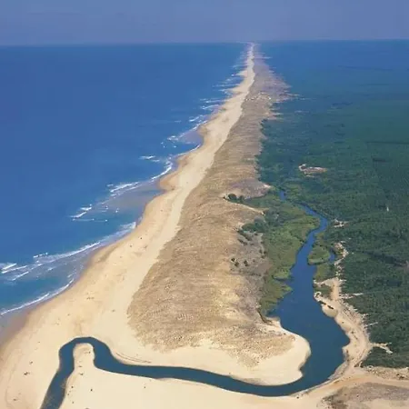 Bahiana